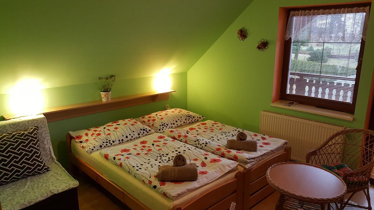Penzion Otmarka Těchonín Extérieur photo